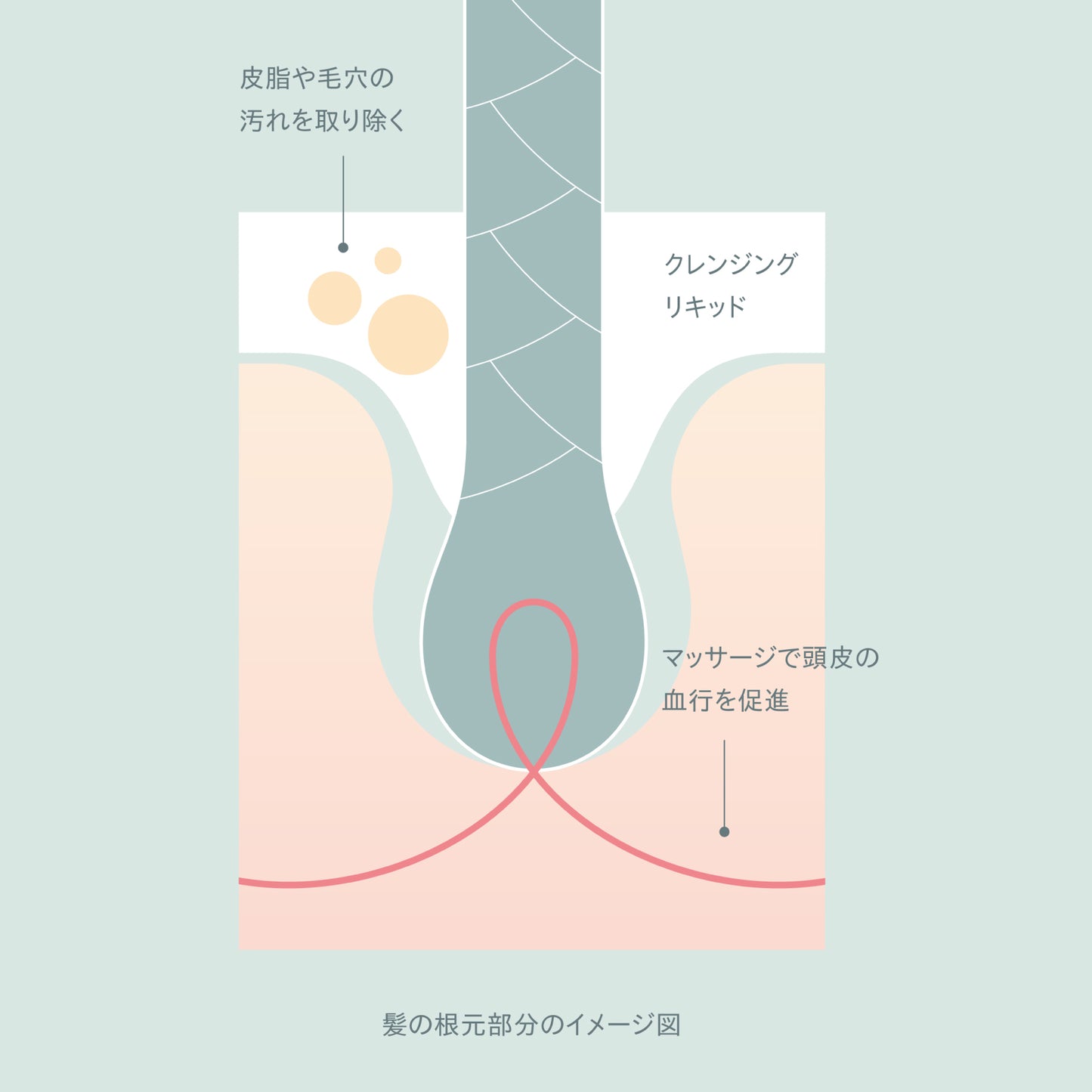スカルプケアクレンジング|250ml