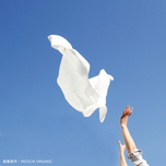 files/12_185c36ed-ceef-49b4-a6be-ddb82b359416.png