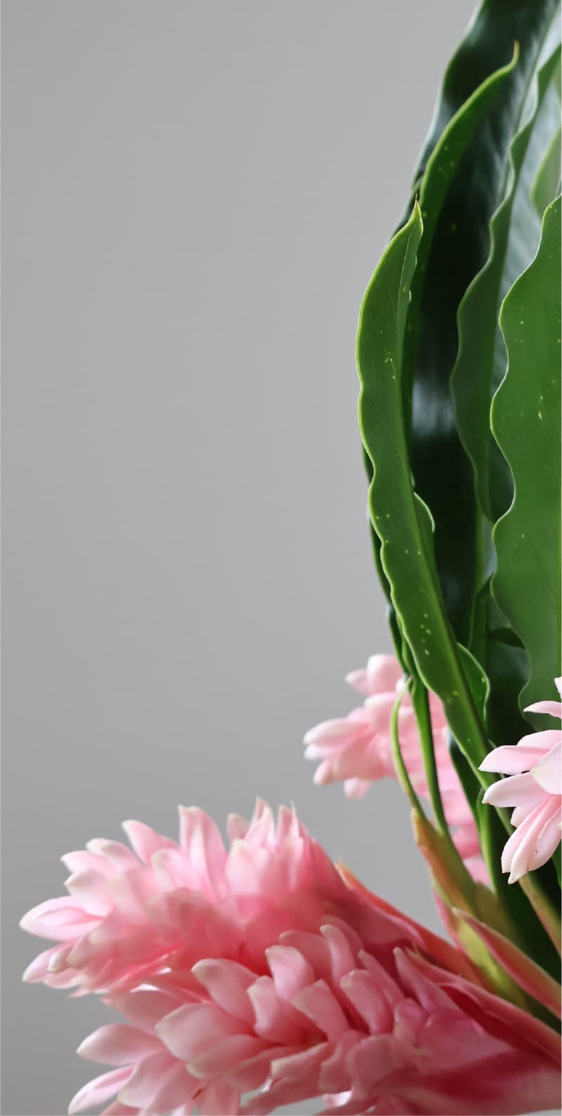 HASHUKAが大事にしていること